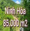 Bán đất rẫy 8,5 héc ta tổ dân phố Phú Thọ 3, phường Ninh Diêm, Ninh Hòa.  - Cách đường Quố