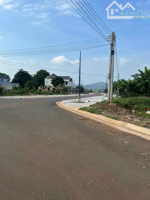 ĐẤT THỔ CƯ GẦN TRƯỜNG CAO ĐẲNG NGHỀ BÀ RỊA THỊ TRẤN ĐẤT ĐỎ 5X41 CÓ 2 LÔ LIỀN KỀ