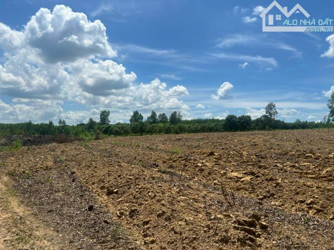 🆘22.000m2 XUÂN HƯNG XUÂN LỘC ĐỒNG NAI (NC) _________________________________ ✅Vị Trí : Gầ