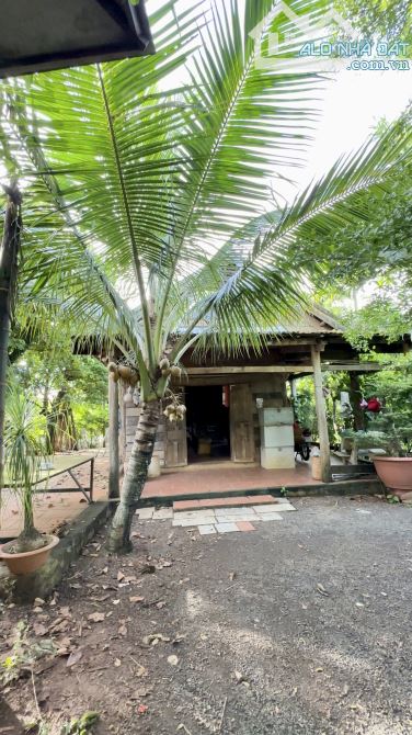 💥Nhà vườn 6.626m2 mô hình Vườn - Ao - Chuồng view suối Thôn 4, xã CưEbur - 1