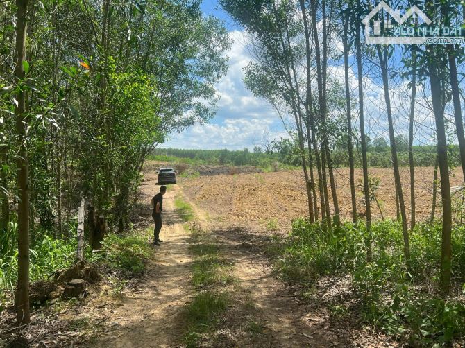 🆘22.000m2 XUÂN HƯNG XUÂN LỘC ĐỒNG NAI (NC) _________________________________ ✅Vị Trí : Gầ - 2