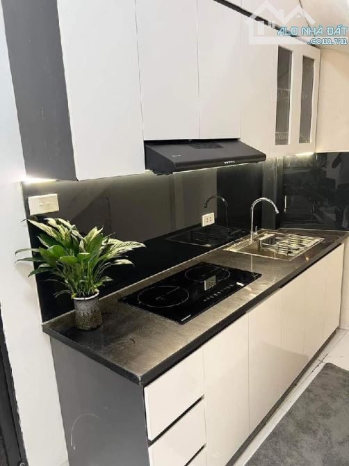 P/LÔ Ô TÔ cách phố Tam Trinh 30m DT52m*2T MT6m chỉ 7tỷ - 2