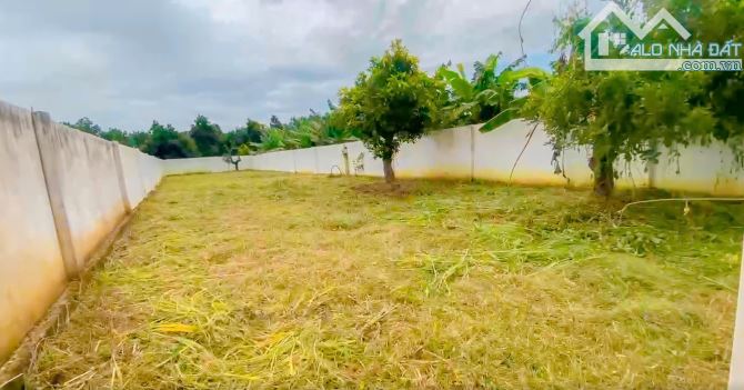 LÔ ĐẤT 2 MẶT TIỀN TUYỆT ĐẸP TRUNG TÂM TP.BÀ RỊA, CÁCH NÚT GIAO CAO TỐC 1.5KM, SẴN THỔ CƯ - 5