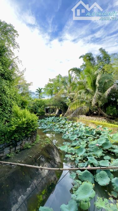 💥Nhà vườn 6.626m2 mô hình Vườn - Ao - Chuồng view suối Thôn 4, xã CưEbur - 5