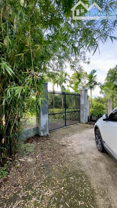 💥Nhà vườn 6.626m2 mô hình Vườn - Ao - Chuồng view suối Thôn 4, xã CưEbur - 9