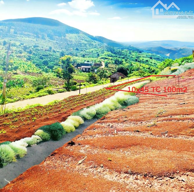 Đất Nền Trung Tâm Nam Ban - Giá Rẻ, Pháp Lý Sạch, View Nghỉ Dưỡng Tuyệt Đẹp