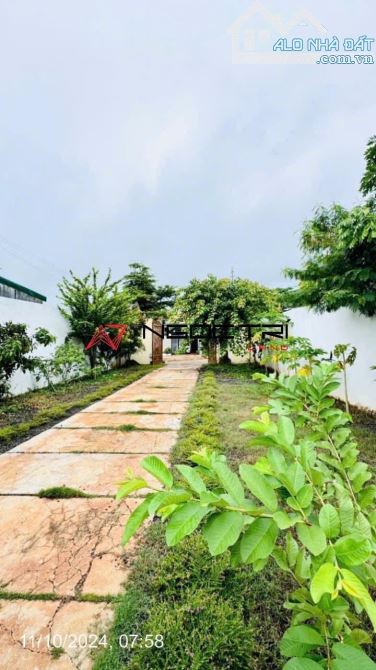 💥 CẦN BÁN NHÀ VƯỜN 600m2 MẶT TIỀN ĐƯỜNG A2 - THÔN 4 CƯEBUR - 1