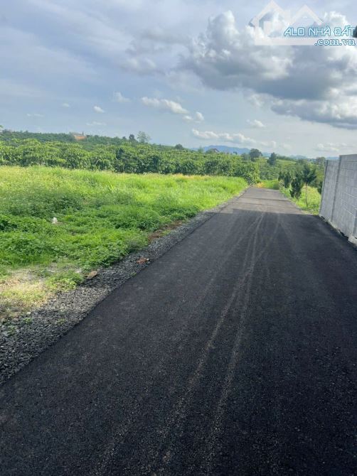 ✈️ Chỉ 450tr lô đất 150m2 đất ở tại Bảo Lâm, Lâm Đồng. - 1