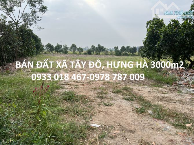 Bán đất thị trấn hưng hà, thái bình 500m2-18,5tr/m2 - 4