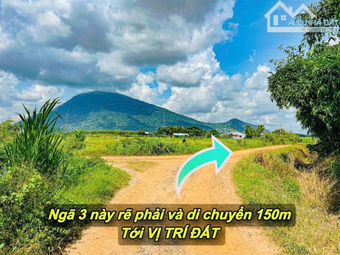 Bán dưới giá vốn 2 lô Suối Đá - Dương Minh Châu - Tây Ninh - 4