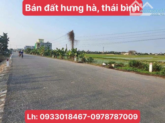 Bán đất thị trấn hưng hà, thái bình 3000m2-6tr/m2 - 5