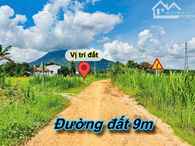 Bán dưới giá vốn 2 lô Suối Đá - Dương Minh Châu - Tây Ninh - 5