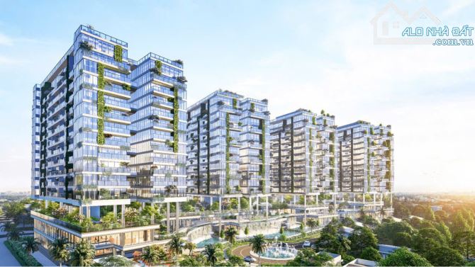 Quỹ căn chuyển nhượng tháng 10- 2024  Sunshine Iconic - 2