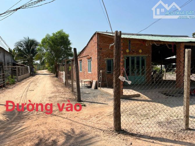 Bán hơn 1 HA đất Tân Châu có 400m2 thổ cư Sổ Hồng Riêng Công chứng ngay - 1