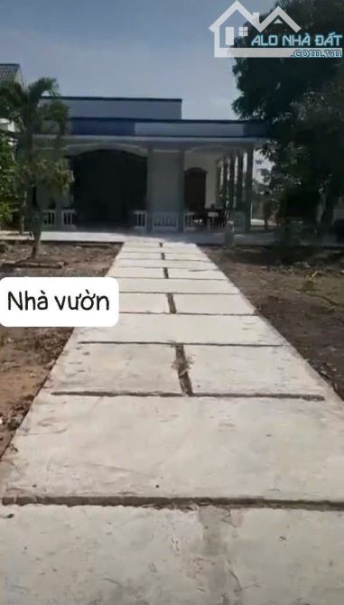 Bán nhà vườn hơn 550 m2 huyện Cần Giuoc 2pn 2wc - 1