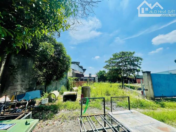 Bán đất mặt bằng kinh doanh buôn bán xã Tân Thông Hội Củ Chi TP HCM, DT: 10x32m.