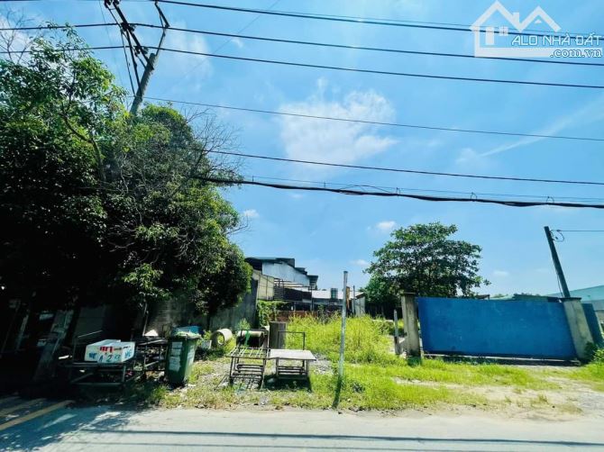 Bán đất mặt bằng kinh doanh buôn bán xã Tân Thông Hội Củ Chi TP HCM, DT: 10x32m. - 1