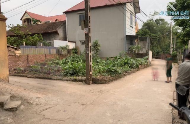 Bán đất Đông Anh, 75m2, full thổ cư ô tô vào tận nơi, chỉ 6.3 tỷ - 1