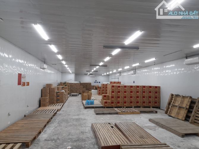 Cho thuê xưởng 300m2 tại TP Hải Dương