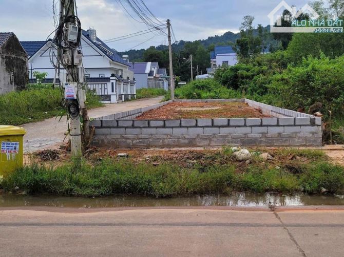 Cây thông ngoài mt be tong Cửa dương Phú quốc 108m2 chính chủ sổ đỏ 1.25 tỷ