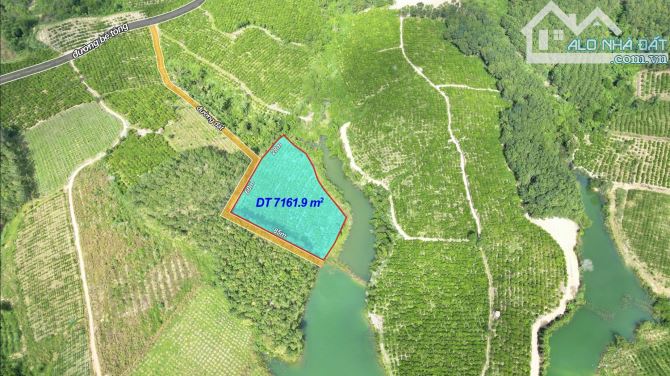 ✨ Chỉ 1 Tỷ/ Lô Đất 7.169m2 GÓC 2 MT. Phía sau giáp Hồ (1 Chiếc View Đắt Giá Bên Triền Núi) - 2