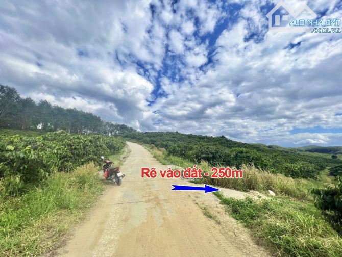 ✨ Chỉ 1 Tỷ/ Lô Đất 7.169m2 GÓC 2 MT. Phía sau giáp Hồ (1 Chiếc View Đắt Giá Bên Triền Núi) - 3