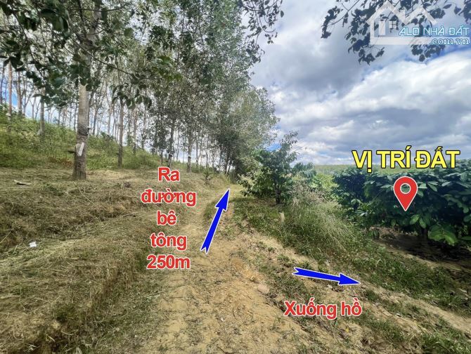 ✨ Chỉ 1 Tỷ/ Lô Đất 7.169m2 GÓC 2 MT. Phía sau giáp Hồ (1 Chiếc View Đắt Giá Bên Triền Núi) - 4