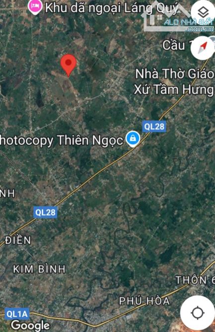 Trang trại Hàm Chính-Hàm Thuận Bắc-Bình Thuận-DT 20.600m2CLN - 4