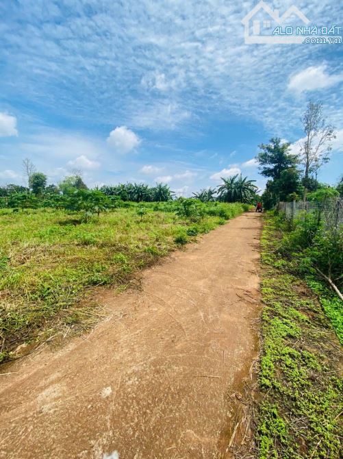 5x25m ĐẤT THỔ CƯ NGAY THÔN 2 CƯSUE GIÁ RẺ. CÁCH UBND XÃ CHỈ 400m - 4