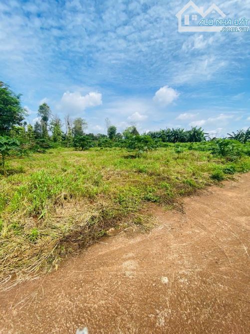 5x25m ĐẤT THỔ CƯ NGAY THÔN 2 CƯSUE GIÁ RẺ. CÁCH UBND XÃ CHỈ 400m - 5
