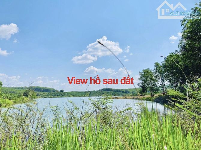 ✨ Chỉ 1 Tỷ/ Lô Đất 7.169m2 GÓC 2 MT. Phía sau giáp Hồ (1 Chiếc View Đắt Giá Bên Triền Núi) - 6