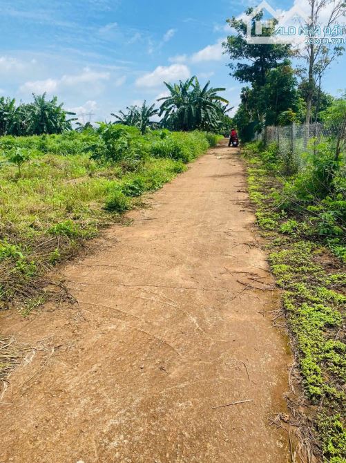 5x25m ĐẤT THỔ CƯ NGAY THÔN 2 CƯSUE GIÁ RẺ. CÁCH UBND XÃ CHỈ 400m - 6