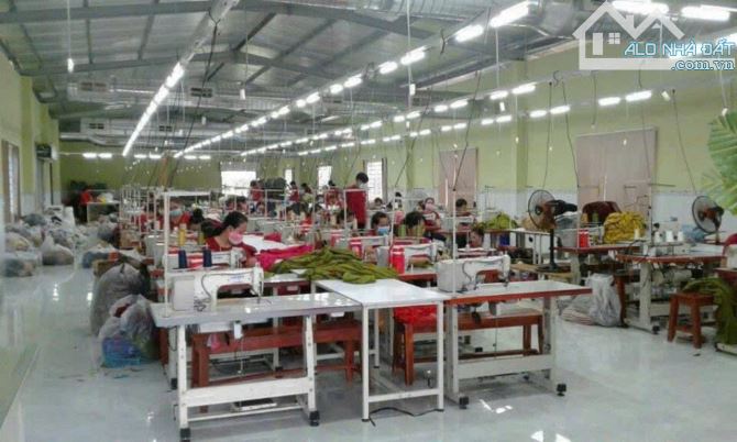 Nhà xưởng 2500m2 hẻm tỉnh lộ 7, xã Phước Thạnh, Củ Chi giá 17 tỷ