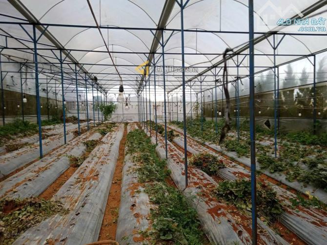 Cần bán gấp đất trong trung tâm Đà Lạt, đường Vạn Hạnh 600m2 có 450m2 thổ cư giá 25 tỷ