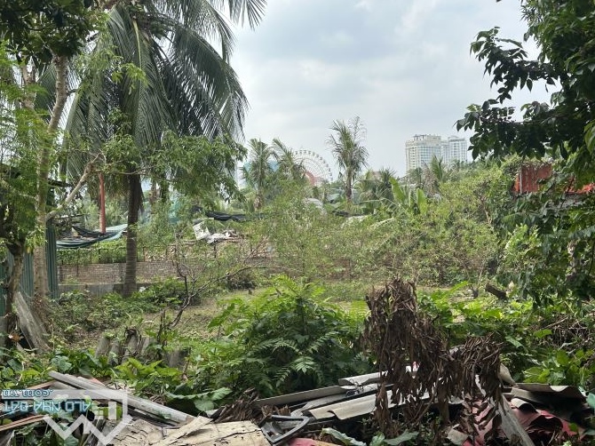 BÁN GẤP 5000M ĐẤT RUỘNG - QH ĐẤT DVTM - XIN DỰ ÁN TỪ ĐẦU- LÊ ĐỨC THỌ NAM TỪ LIÊM- 150 TỶ.