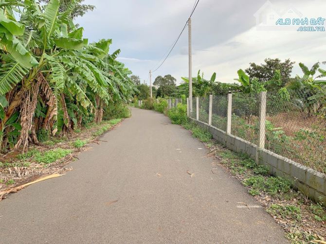 Bán khoảng 5 sào 4 (5389m2) đất Bàu Chinh, huyện Châu Đức, BRVT.