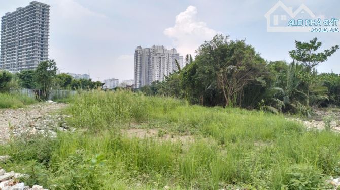 Cho thuê 6.000 m2 đất mặt tiền đường Nguyễn Lương Bằng - 1