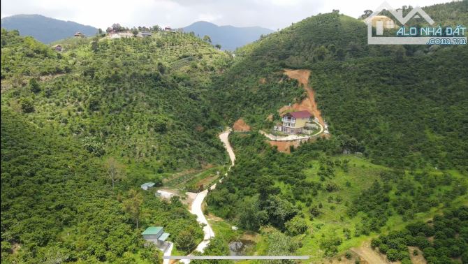 Bán Farmstay view đẹp, suối chạy quanh vườn, 200 gốc sầu riêng, 8600m², giá 4 tỷ. - 6