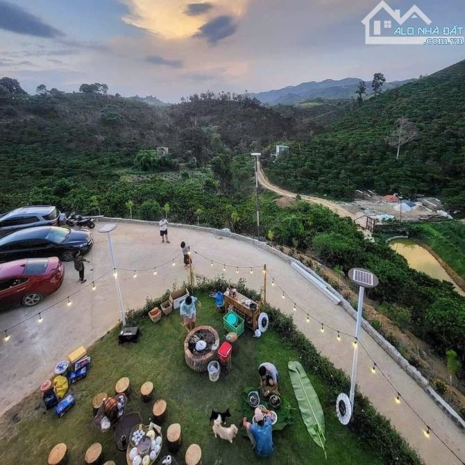 Bán Farmstay view đẹp, suối chạy quanh vườn, 200 gốc sầu riêng, 8600m², giá 4 tỷ. - 7