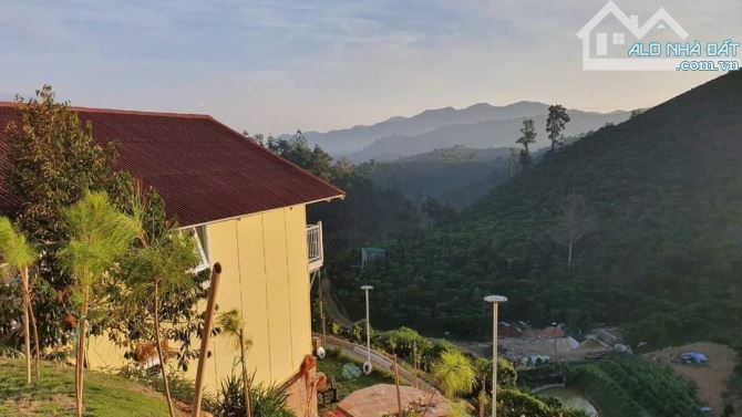 Bán Farmstay view đẹp, suối chạy quanh vườn, 200 gốc sầu riêng, 8600m², giá 4 tỷ. - 8