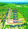 BÁn sổ hồng góc 2 mặt tiền 592m2 ngang 12mét quy hoạch ODT, cách nhựa DH02 1.5km_175 Triệu