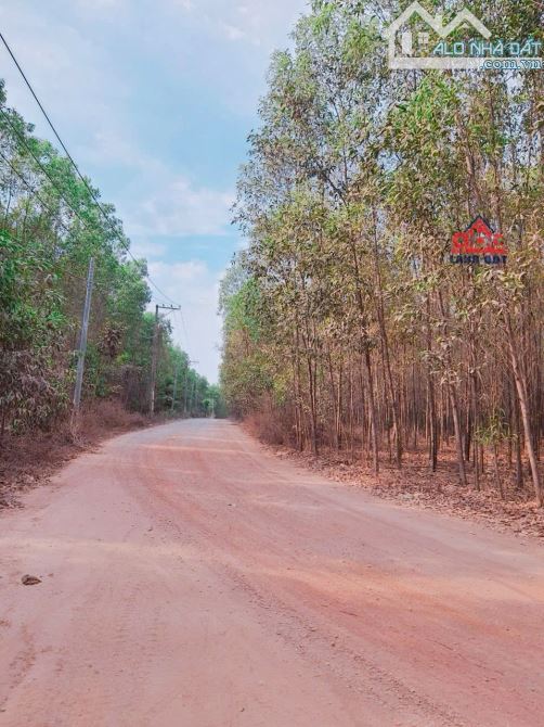 Bán quỹ đất hơn 3Ha cực hiếm QH full SKC Đất góc 2 mt cụm KCN SÔNG MÂY Trảng Bom Đồng Nai