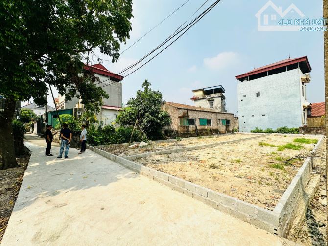 254m vuông bánh chưng chia 2 lô giá chỉ 19tr tại Tân Tiến - Văn Giang