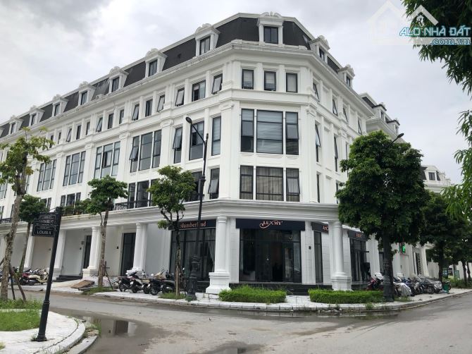 Louis City, biệt thự liền kề, 1 căn duy nhất giá rẻ còn sót lại, 95m2, hơn 20 tỷ - 1