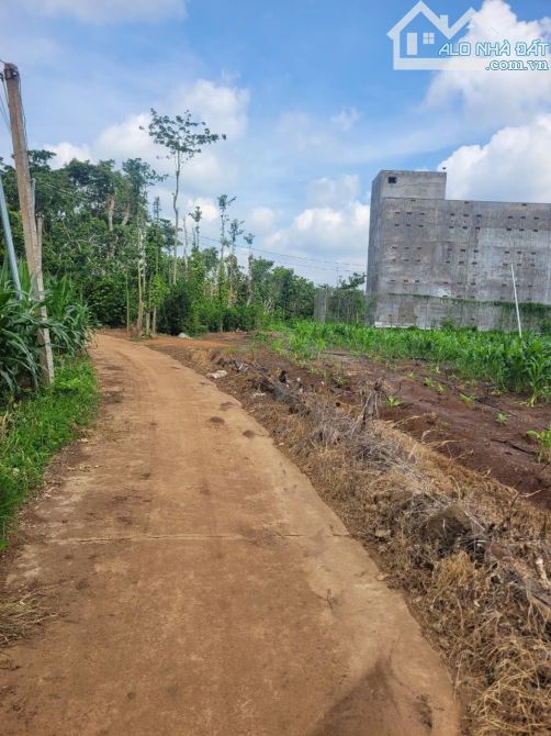 Bán đất diện tích 9368m2 28mt đường bê tong cách tỉnh lộ 765 300m thuộc xã lâm san Cẩm Mỹ - 2