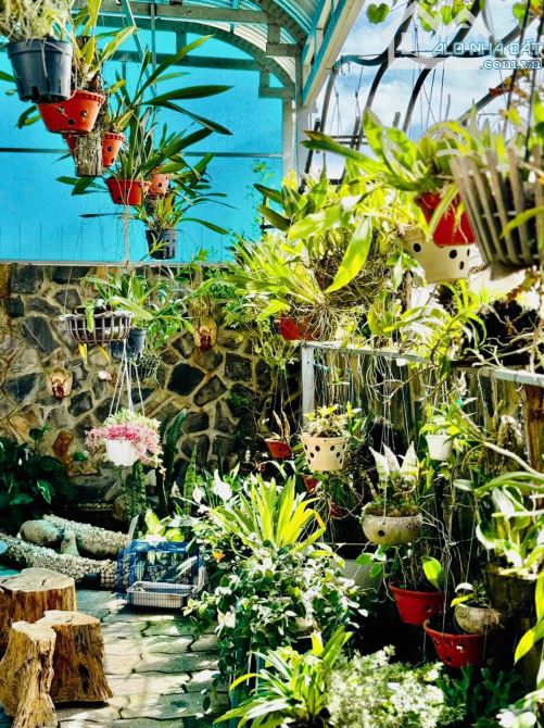 Hạ giá bán nhà khu nghỉ dưỡng cách Hồ Xuân Hương chỉ 500m Yersin Đà Lạt 200m² chỉ 13.5 tỷ - 4