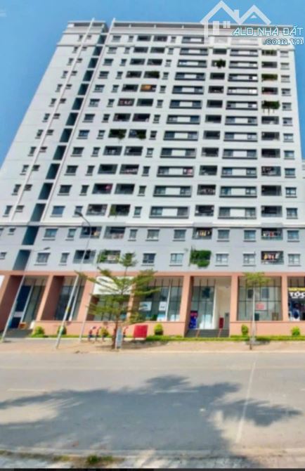 ✨Cho thuê Chung cư Fresca Riverside - KDC Bình Chiểu, quận Thủ Đức. Sau chợ đầu mối Thủ Đứ - 4