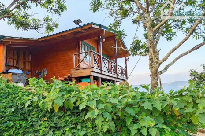 ✈️ Bán Homestay 1000m2 tại Bảo Lộc, Lâm Đồng.