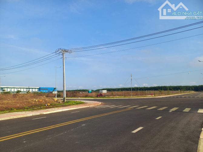 Bán đất xây dựng xưởng 3ha KCN Đất Đỏ 1, Huyện Đất Đỏ, BRVT - 1