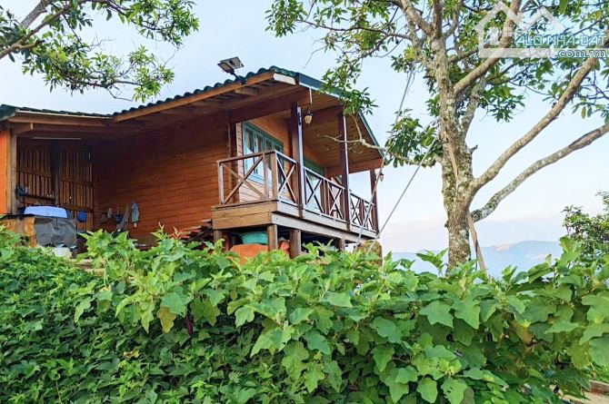 ✨ Homestay Nghỉ Dưỡng View Săn Mây Cực Phẩm tại TP Bảo Lộc. DT: 1.033m2 (25x41m) - 2.9 Tỷ - 1